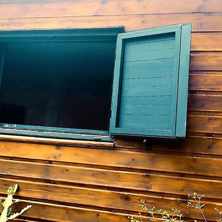 Tiny House Les Cactus - Bungalow St Gilles Les Hauts Saint-Paul Esterno foto